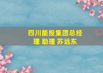 四川能投集团总经理 助理 苏远东